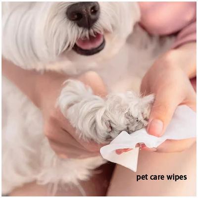 80pcs Dog Friendly Wet Wipes No Fragrance No Wash Deodorizing
